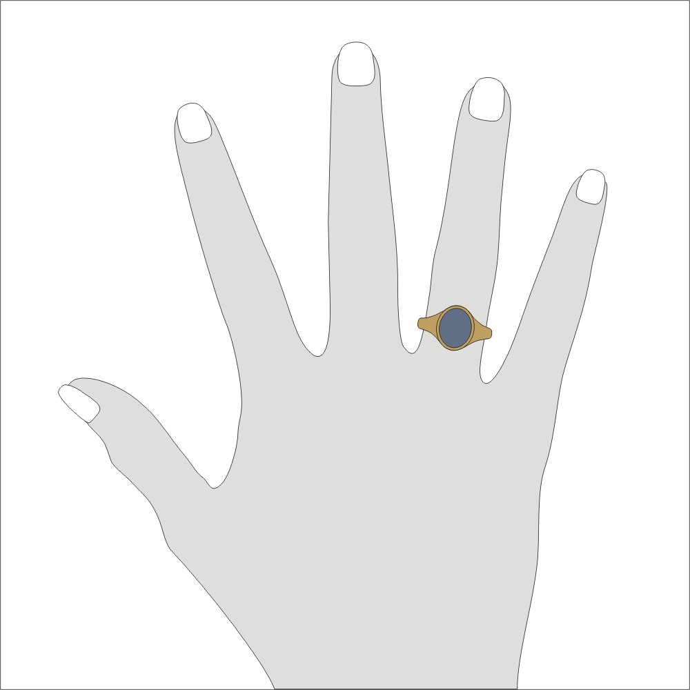 Siegelring in Gold mit Stein 11x9 mm oval, schmal